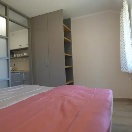 Zubr Nad Zalewem Apartment Luka Exterior photo