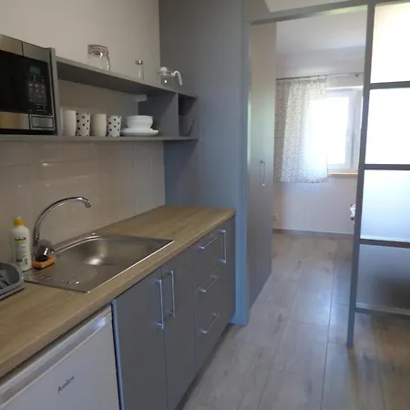 Zubr Nad Zalewem Apartment Luka Exterior photo
