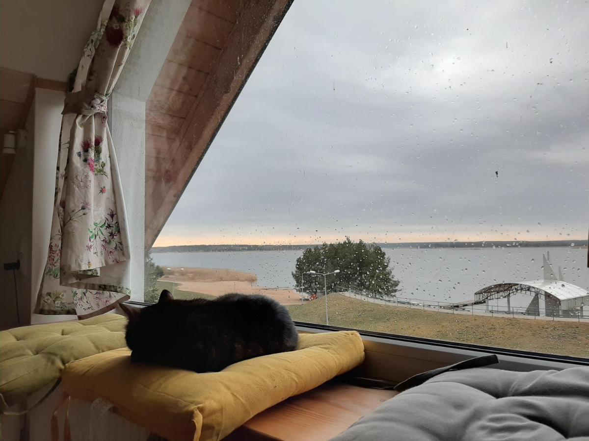 Zubr Nad Zalewem Homestay